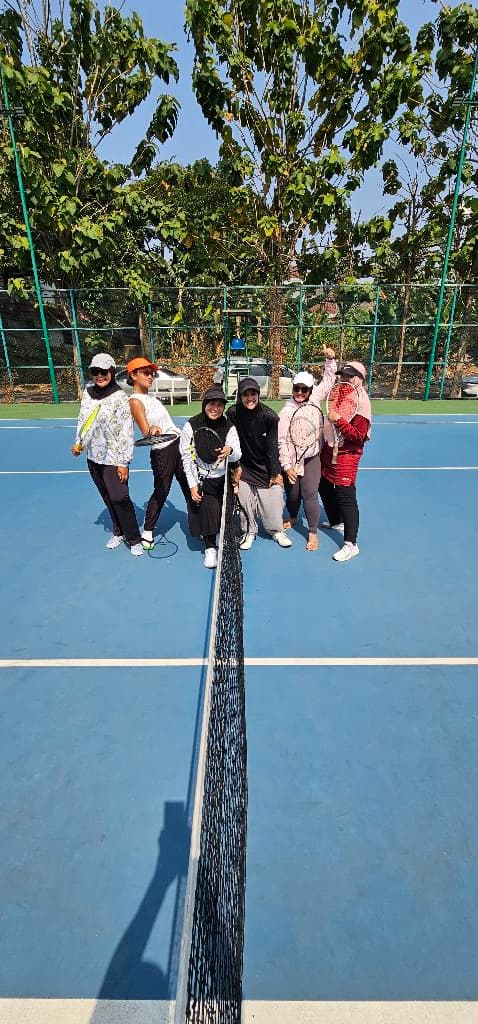 TeMis media 2