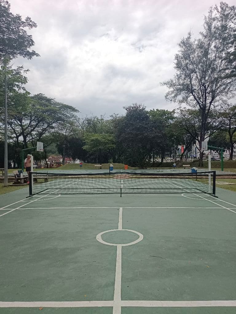Backyard Pickleball media 2