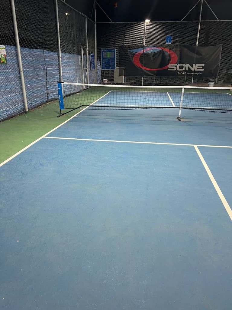 Pickleball Hangover media 5