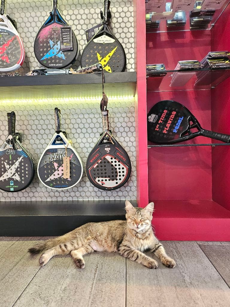 Makin Padel media 3