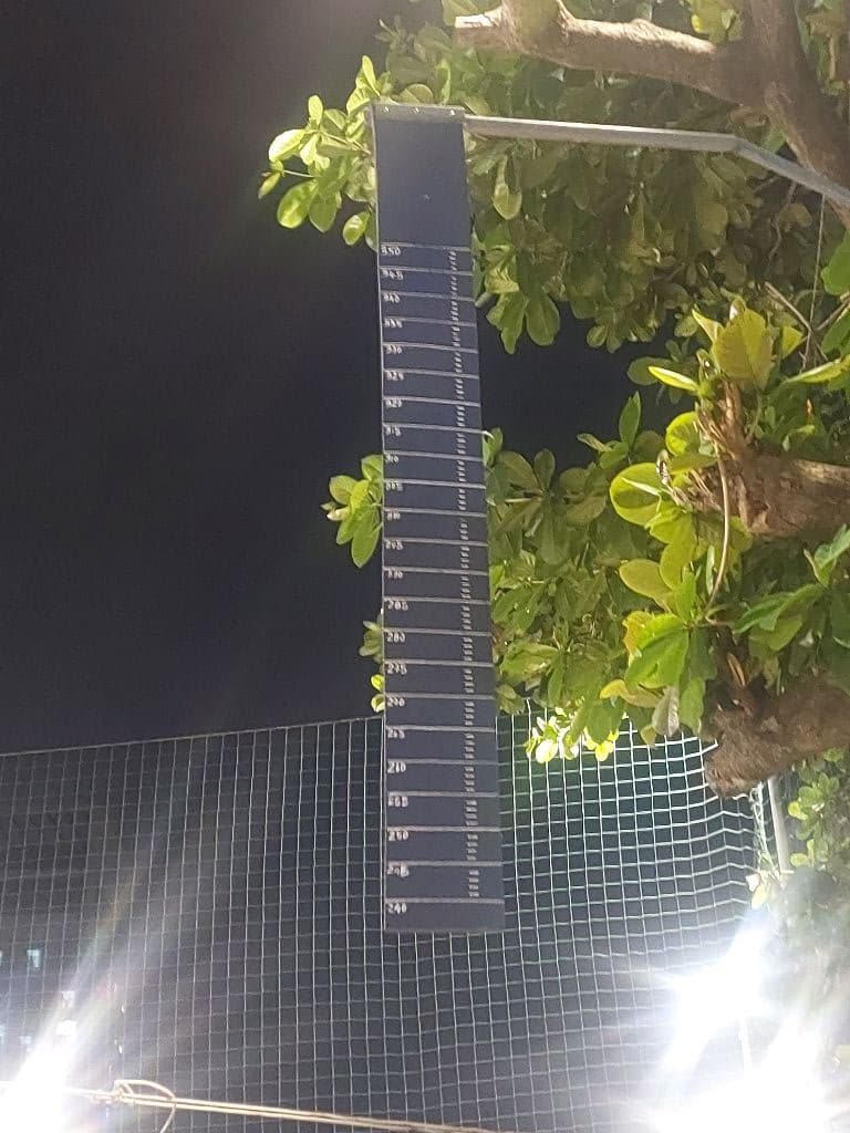 Lò mổ heo media 1