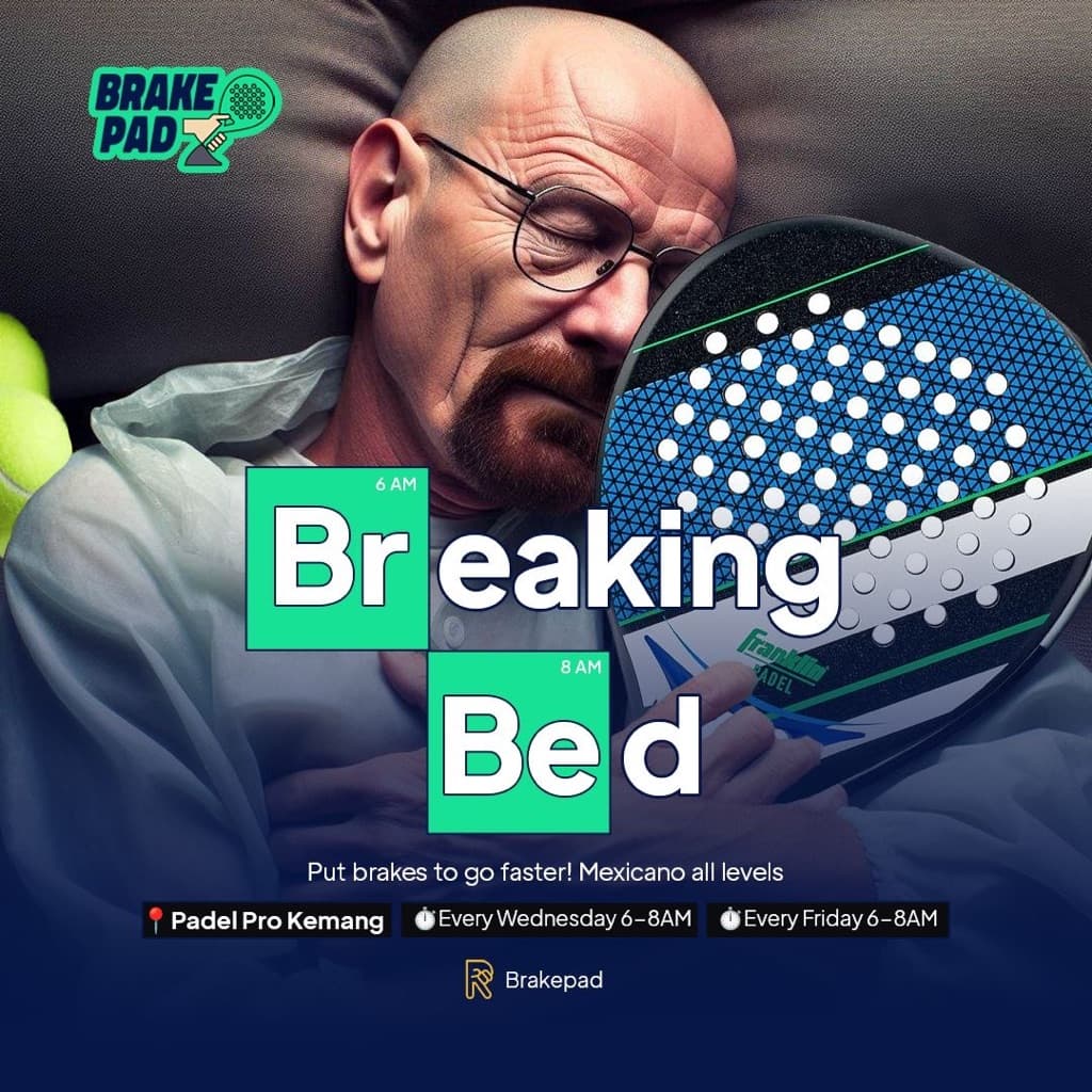 Brakepad media 2