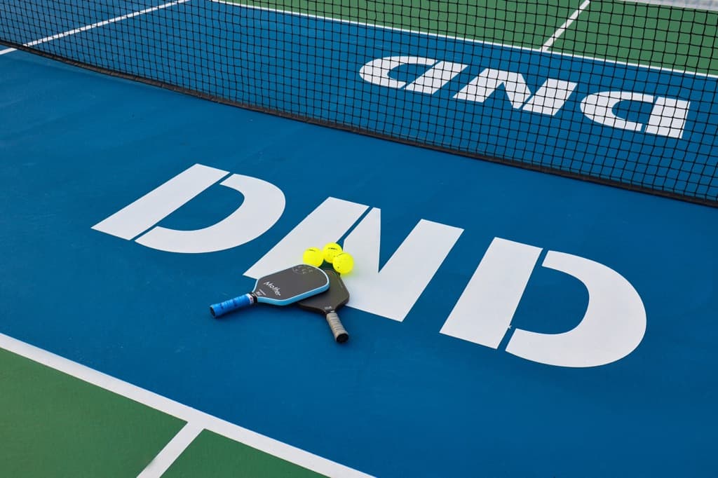 Drop N’ Dink Pickleball media 1