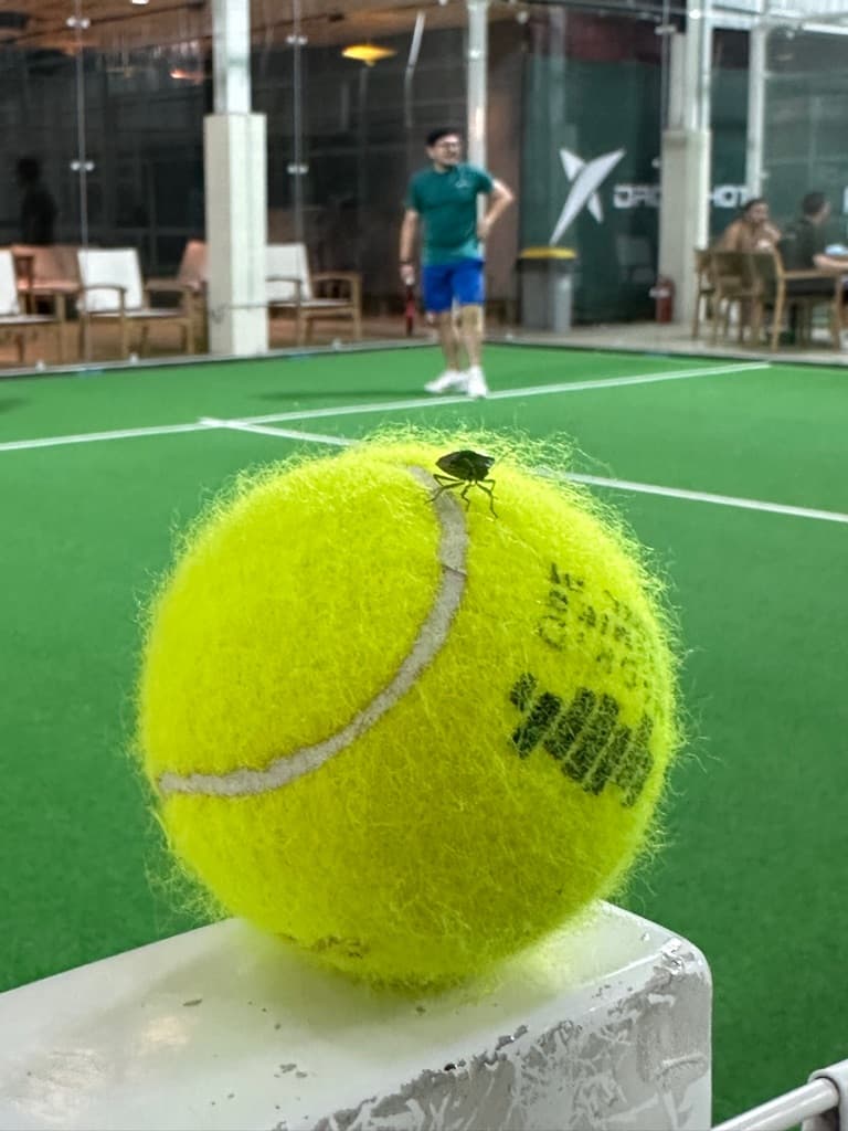 Hello Gaiss Padel Kru media 1