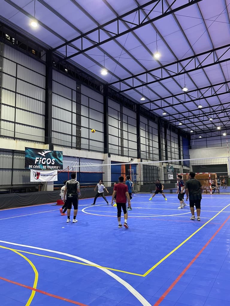 VolleyVerse media 4