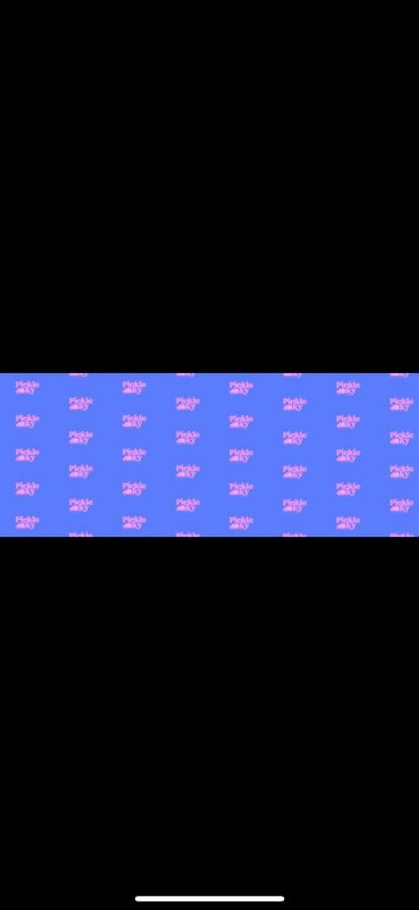 Pickle Sky  media 1