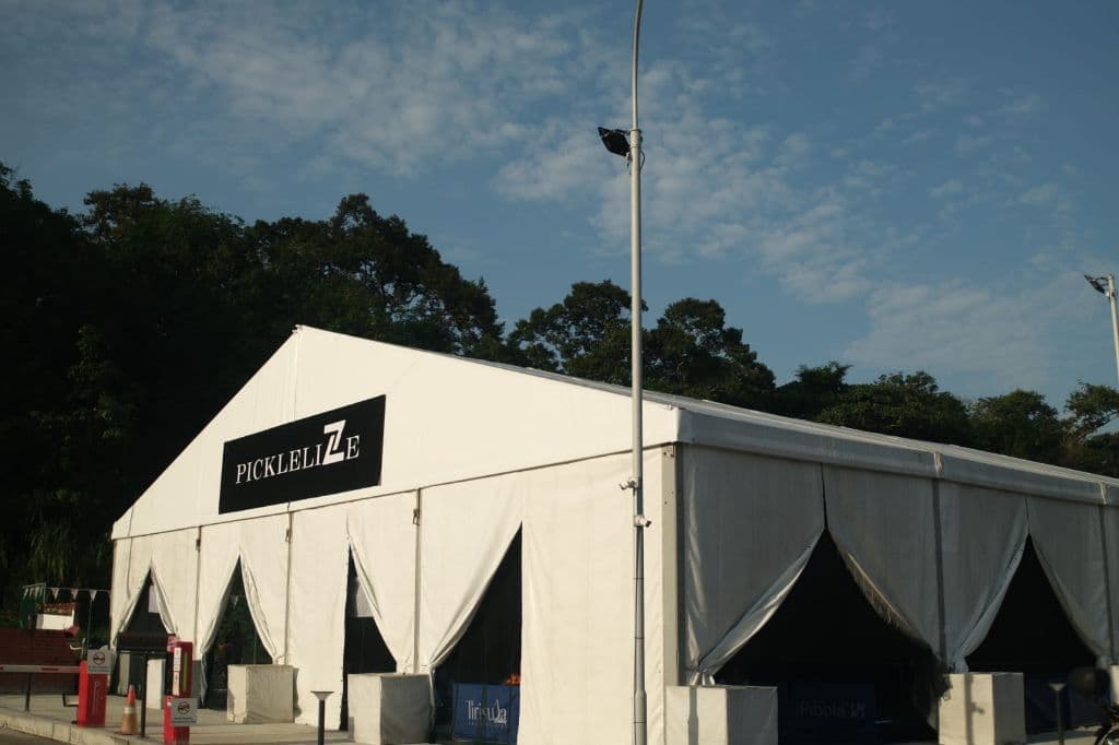 PickleliZe media 1