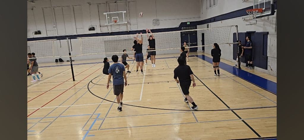 Volleyball Crew media 1