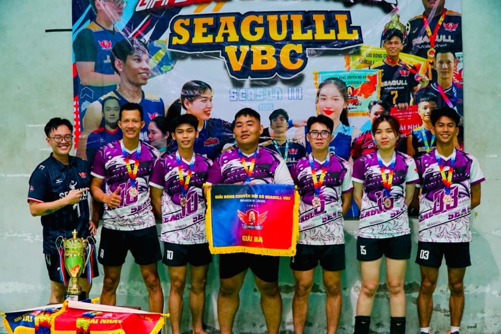 SEAGULL VBC media 6