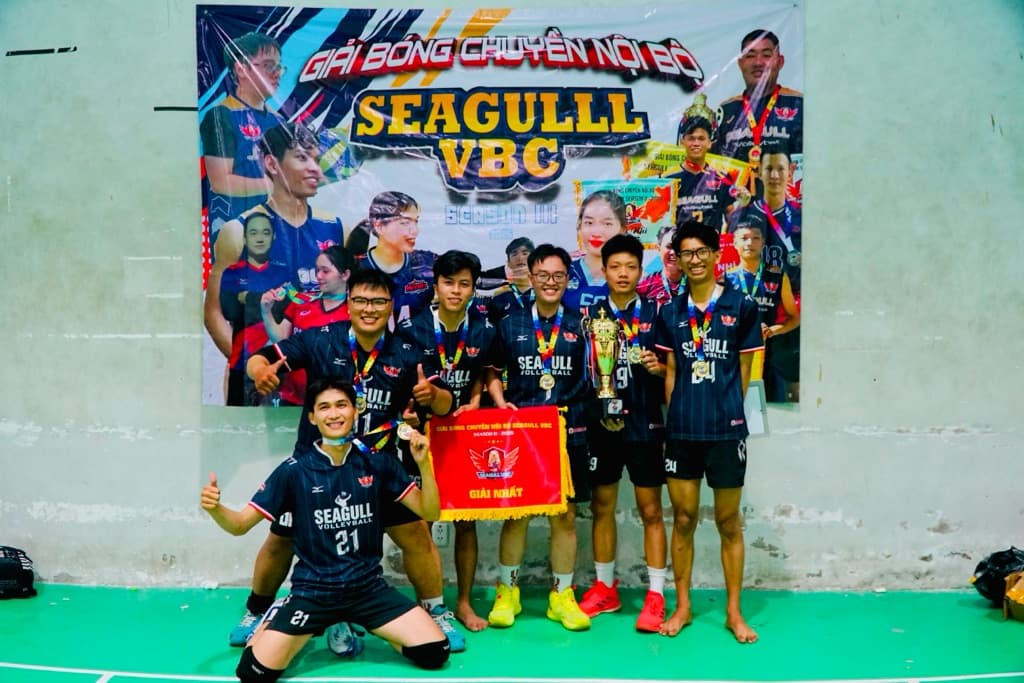SEAGULL VBC media 1