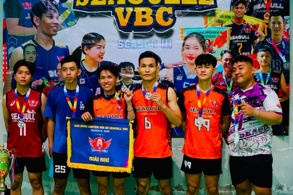 SEAGULL VBC media 4