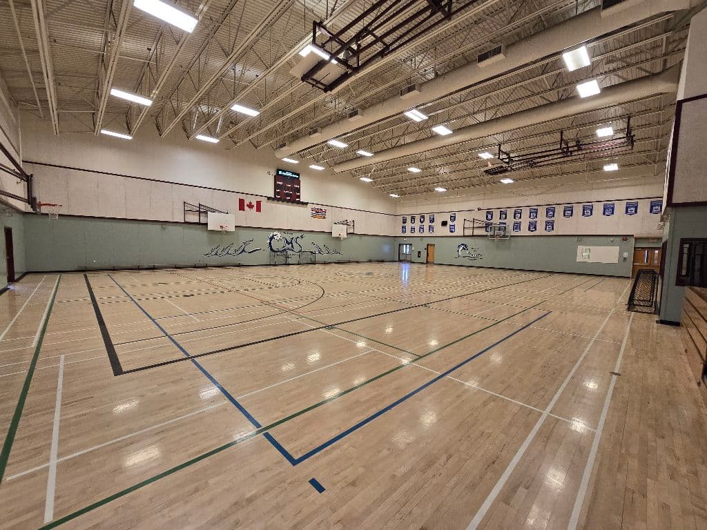 GoldenStar Sports - Pickleball  media 2