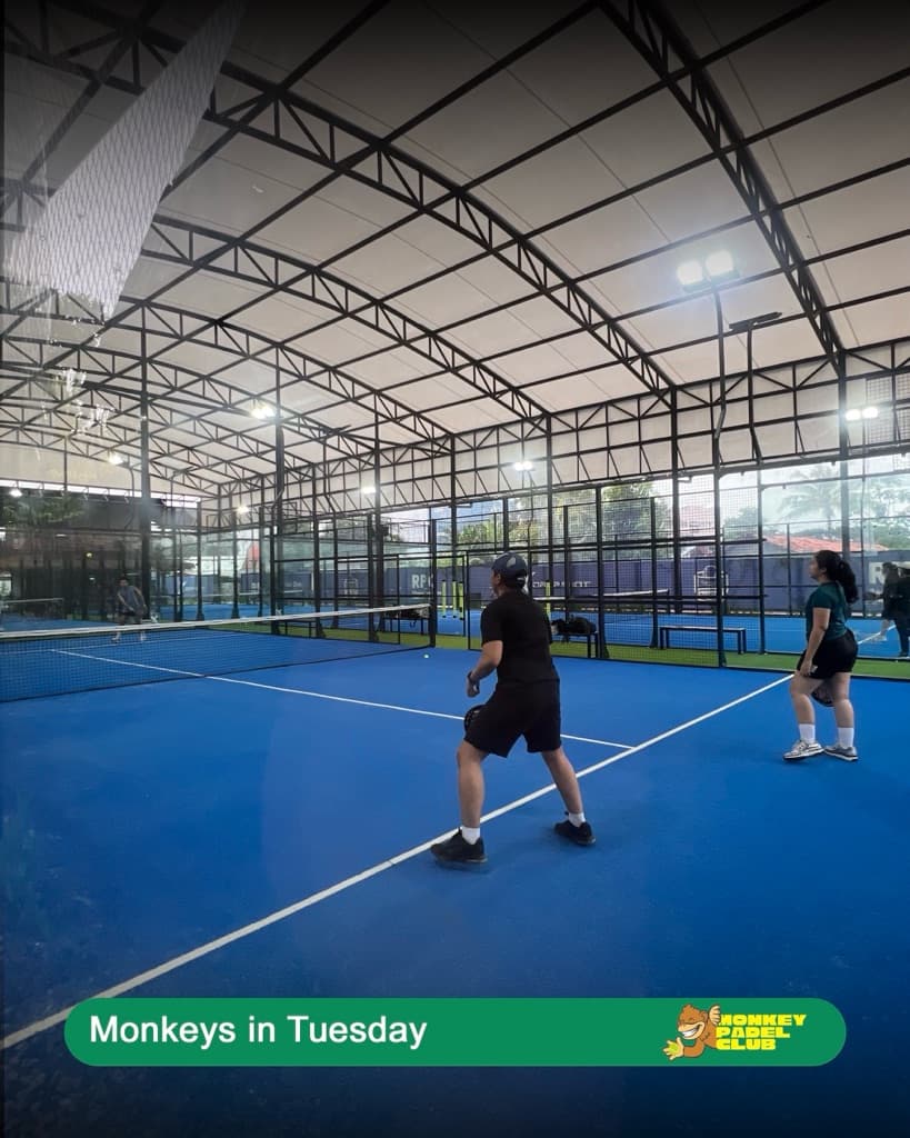 Monkey Padel media 4