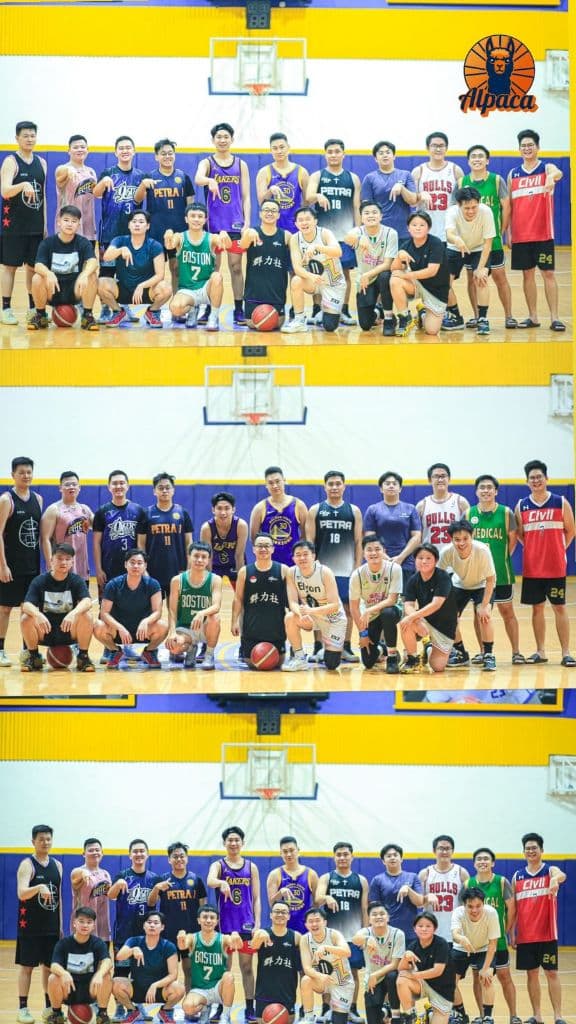 Alpaca Basketball media 1