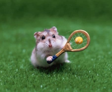 KL Tennis media 2