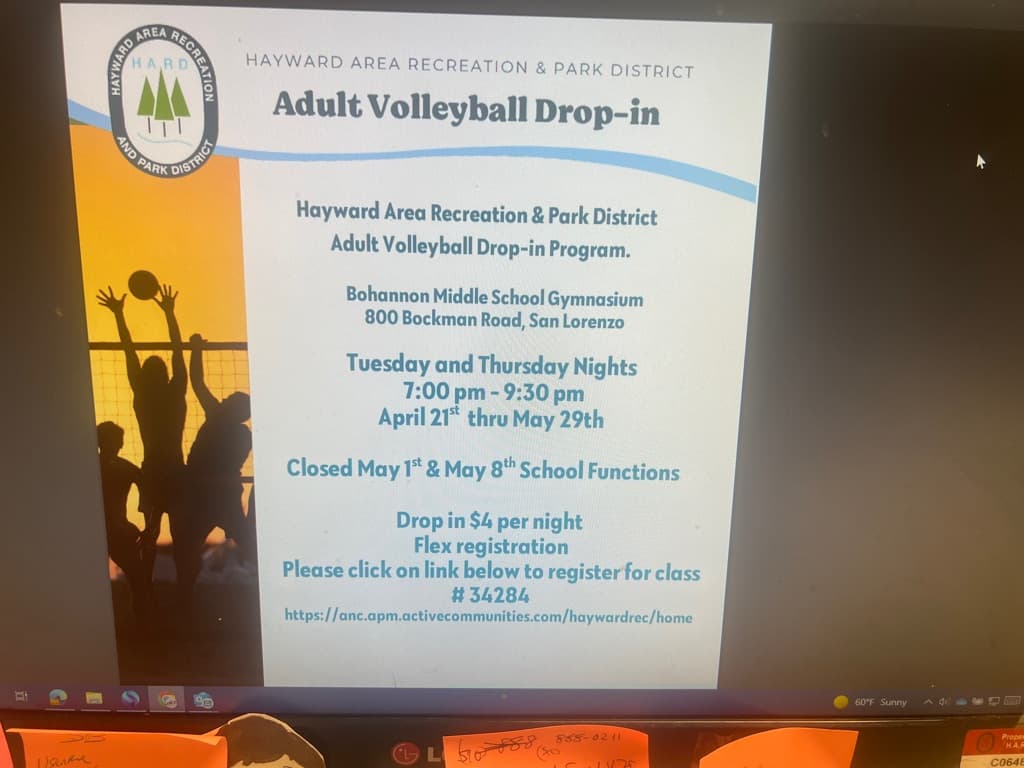 Hayward Area Recreation Division Volleyball media 1