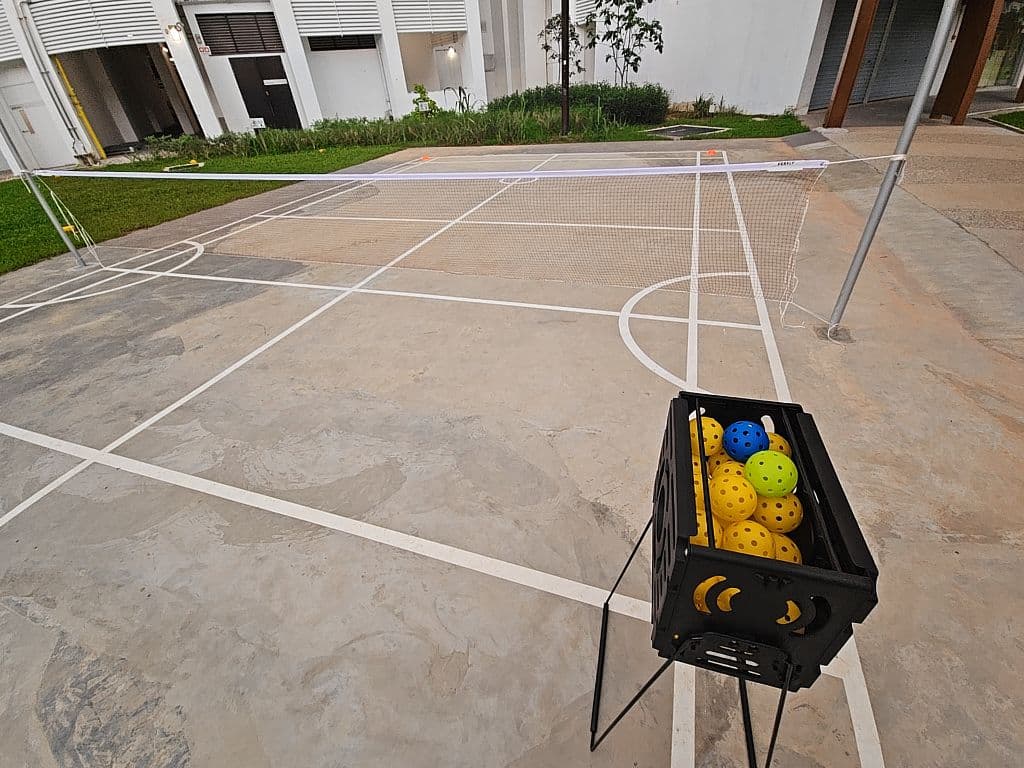 Chronicles of Pickleball media 1