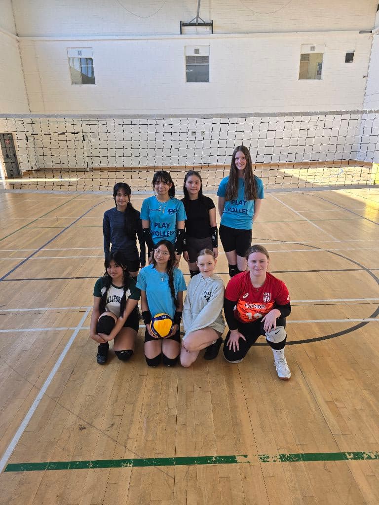 International volleyball Ireland media 5