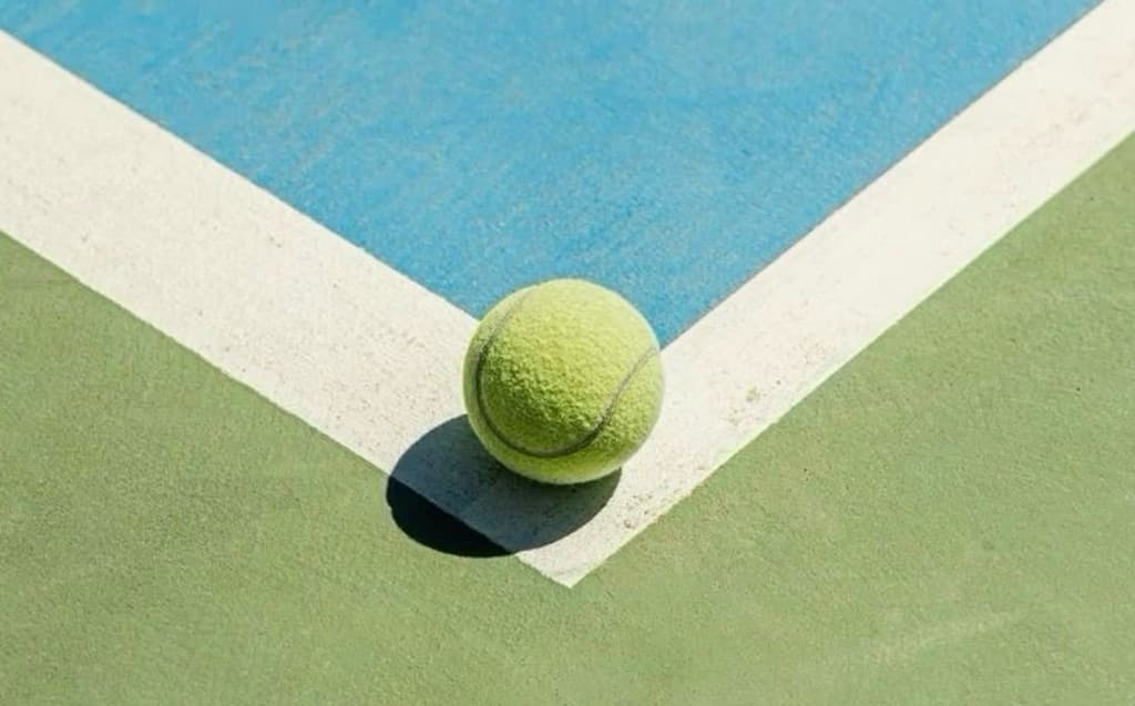 Padel Bunny media 1