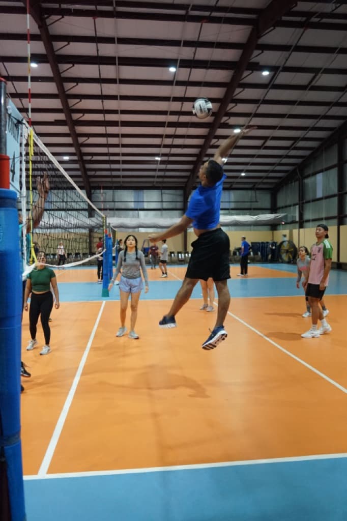 The Volleyball Roundup media 3