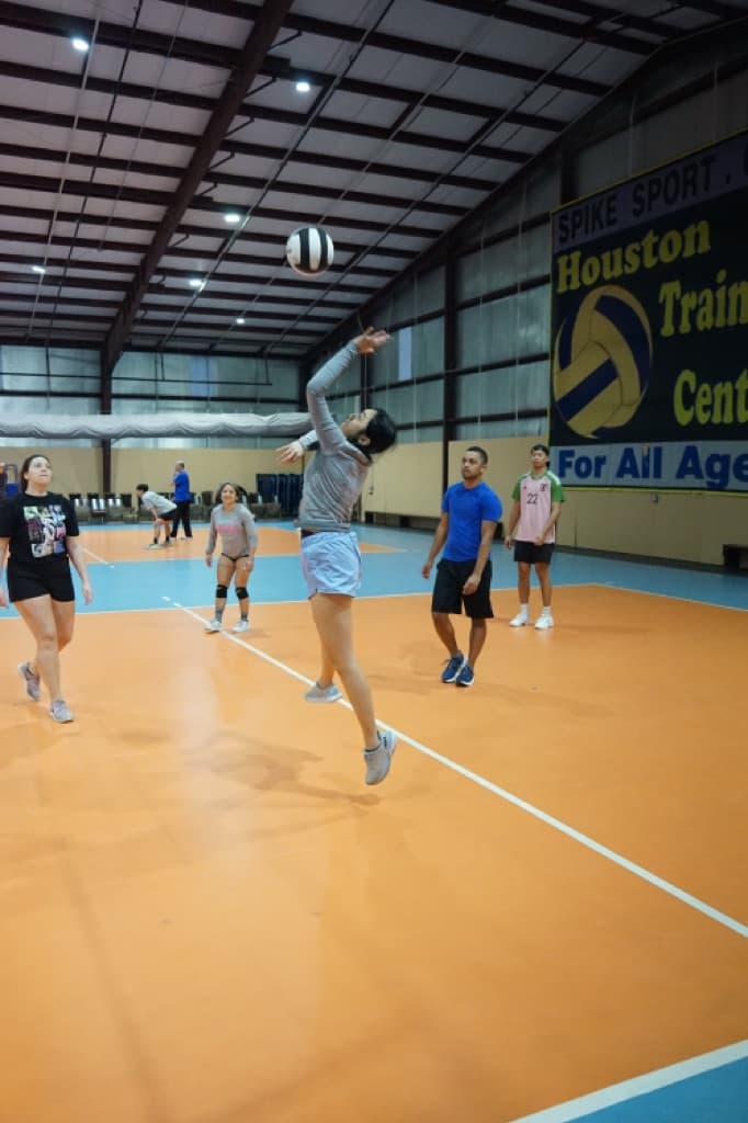 The Volleyball Roundup media 4