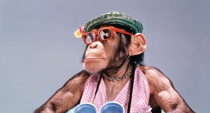 Padel Monkey media 4