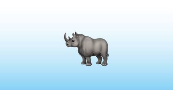 Padakk 🦏 media 1