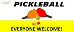 Pickleball Newbie & Beginners media 3