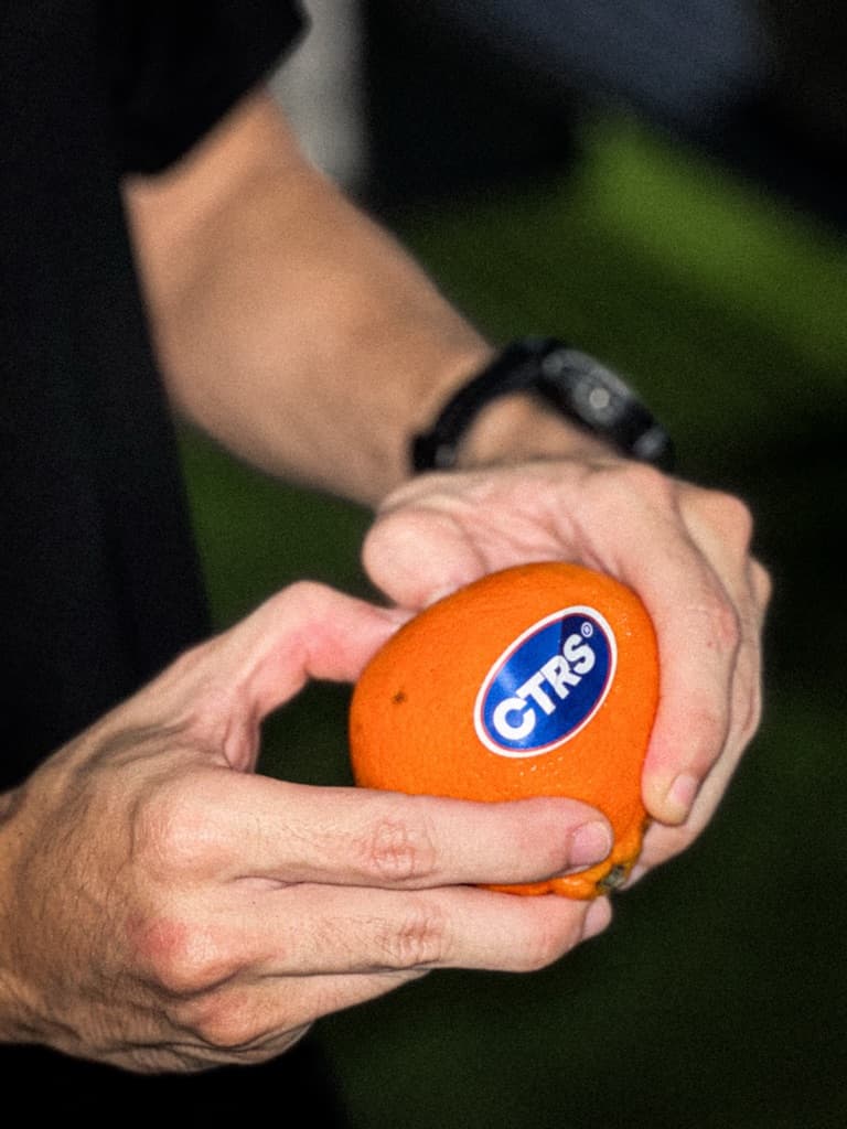 CITRUS CLUB media 1