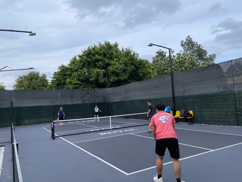 Royal Pickleball K334 media 4