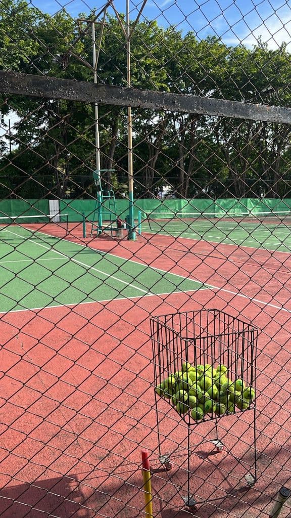 Tenis Pallapa media 5
