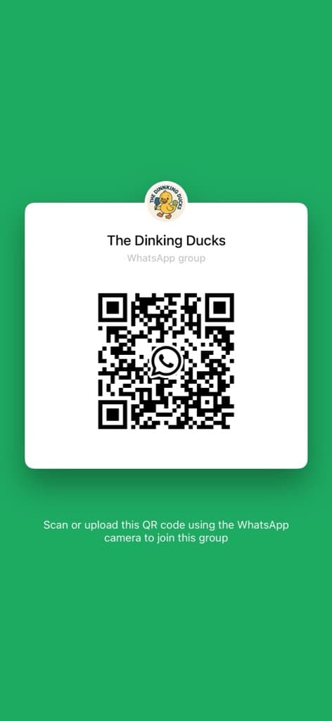 The Dinking Ducks  media 1