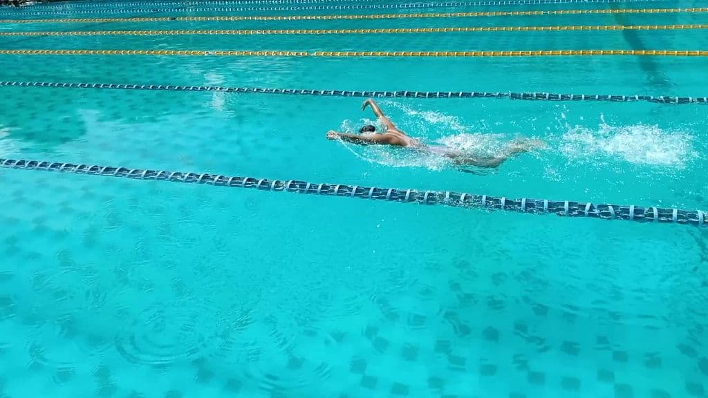 F&L Swimming Community media 2