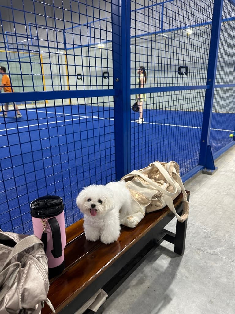  Padel Pals media 5