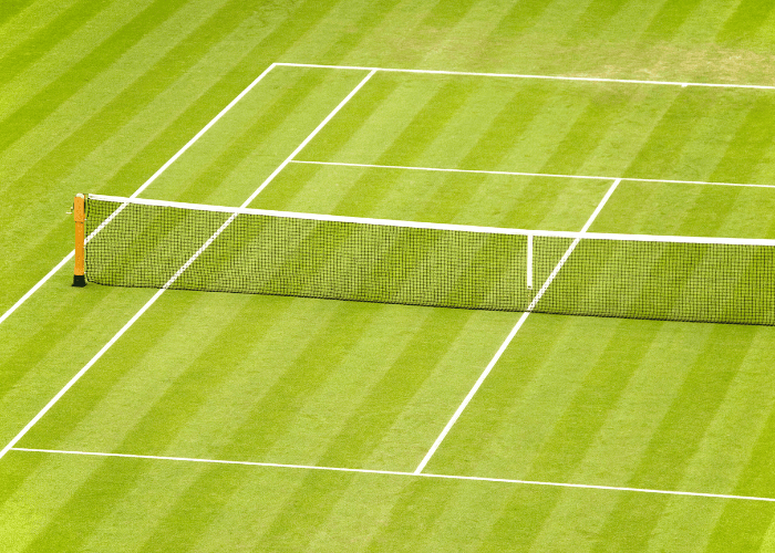 TSC - Tennis Social Club media 2