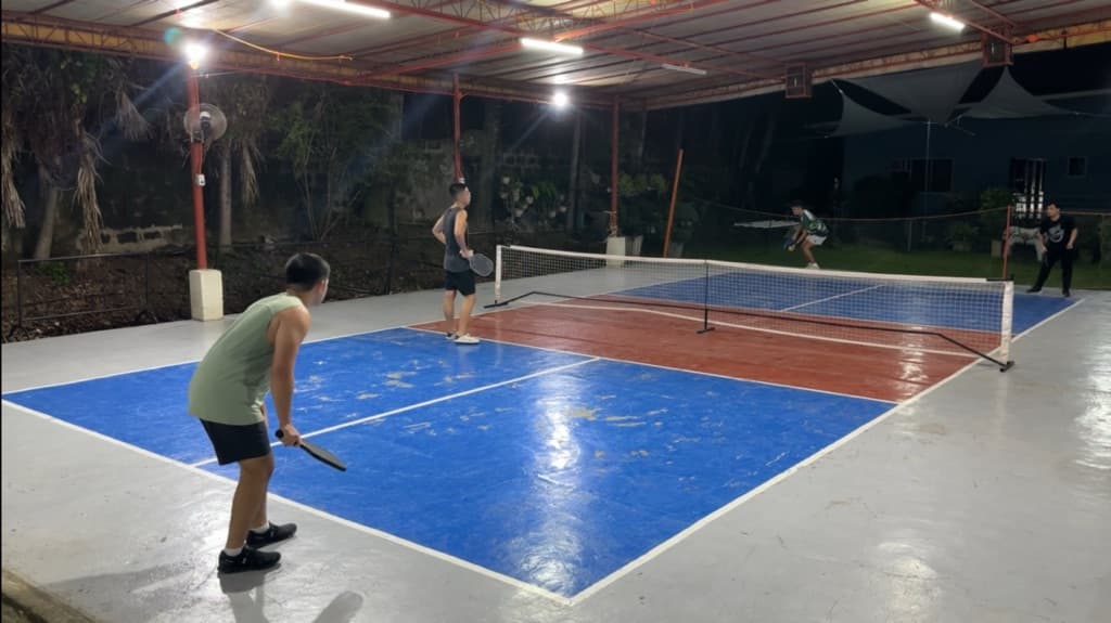 Send It Pickleball media 1