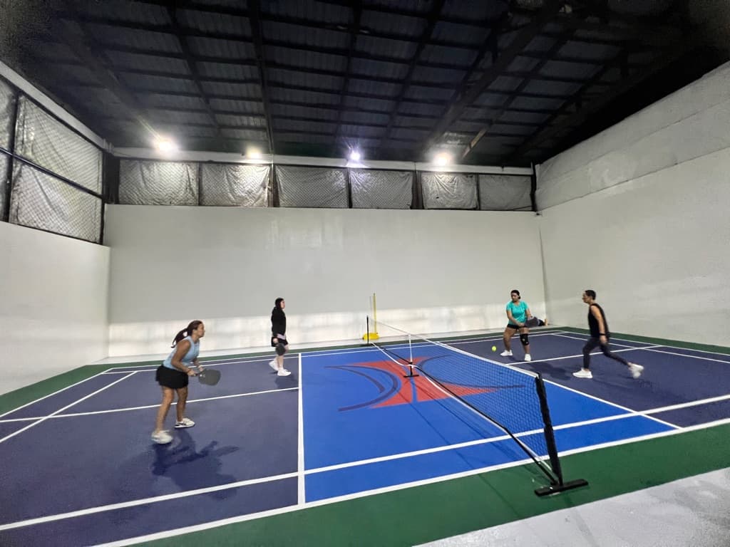 UHV Pickleball/Badminton media 3