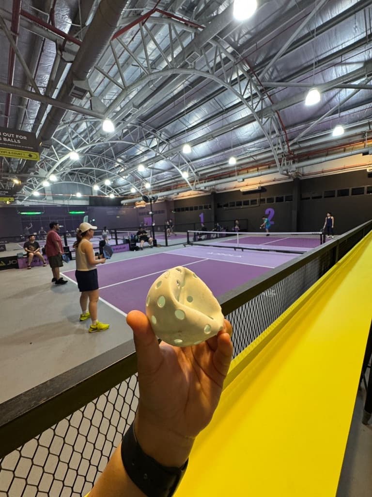 Totoro Pickleball Club media 3