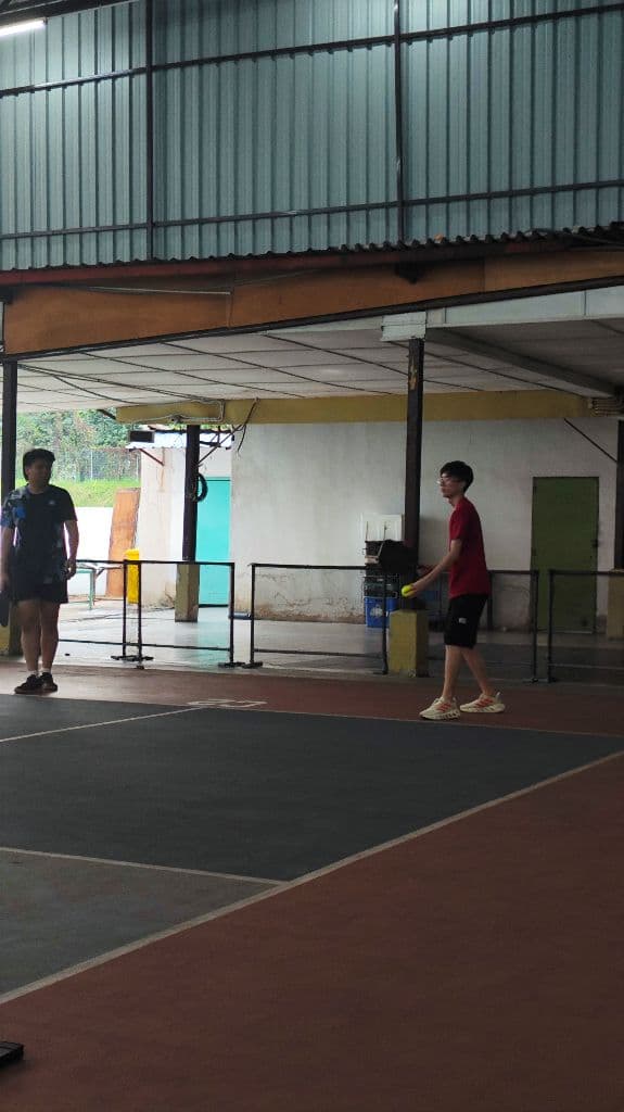 Picklegang media 2