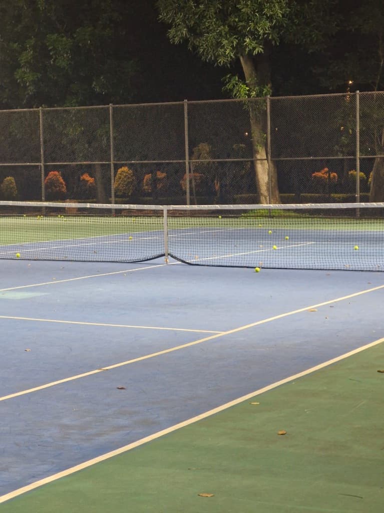 Dino Tennis media 1