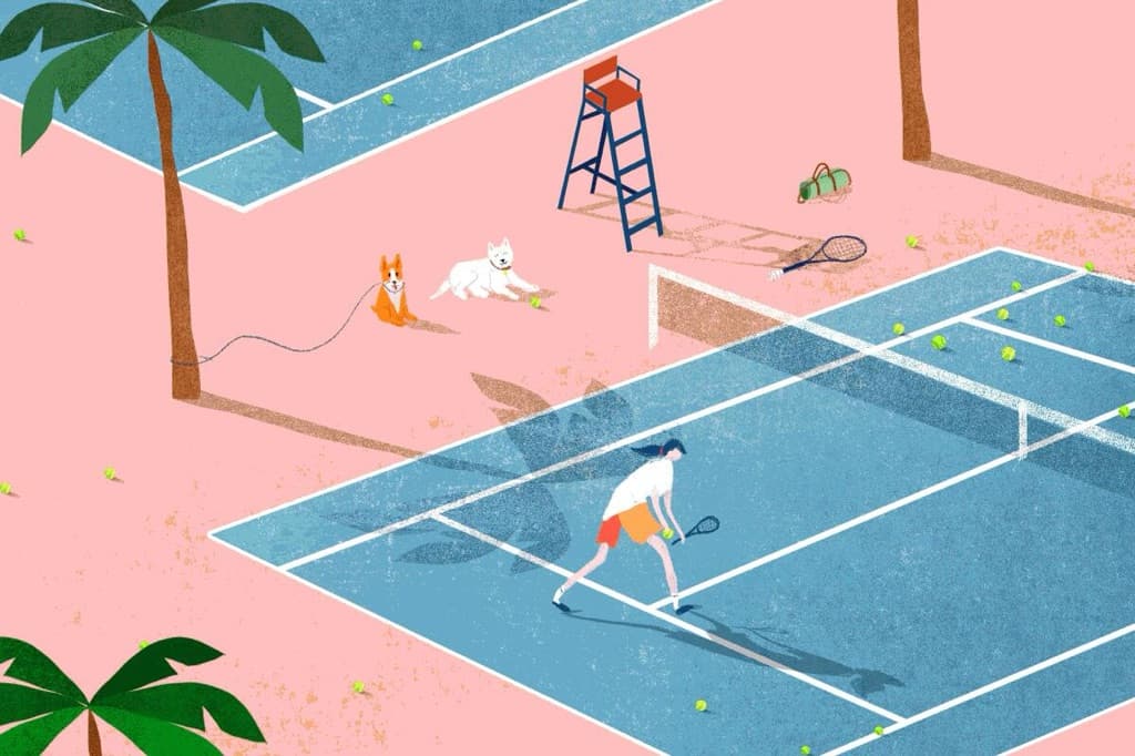 Hit and Miss Tennis Club media 1