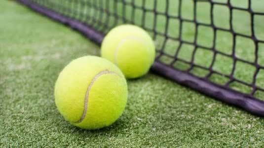 Sloth Tennis media 1