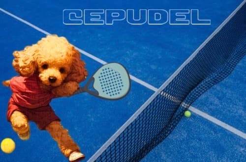 CEPUDEL media 1