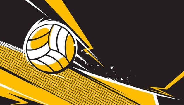 Volleyball Fanatic media 1