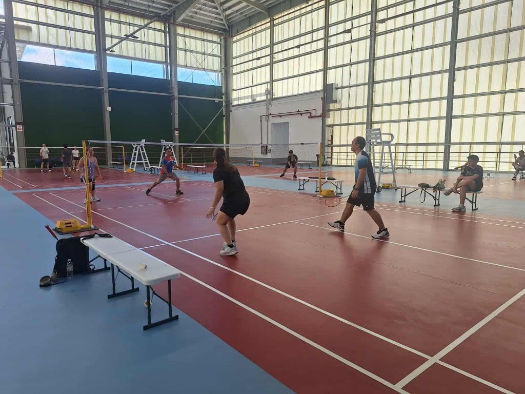 Goodminton media 2