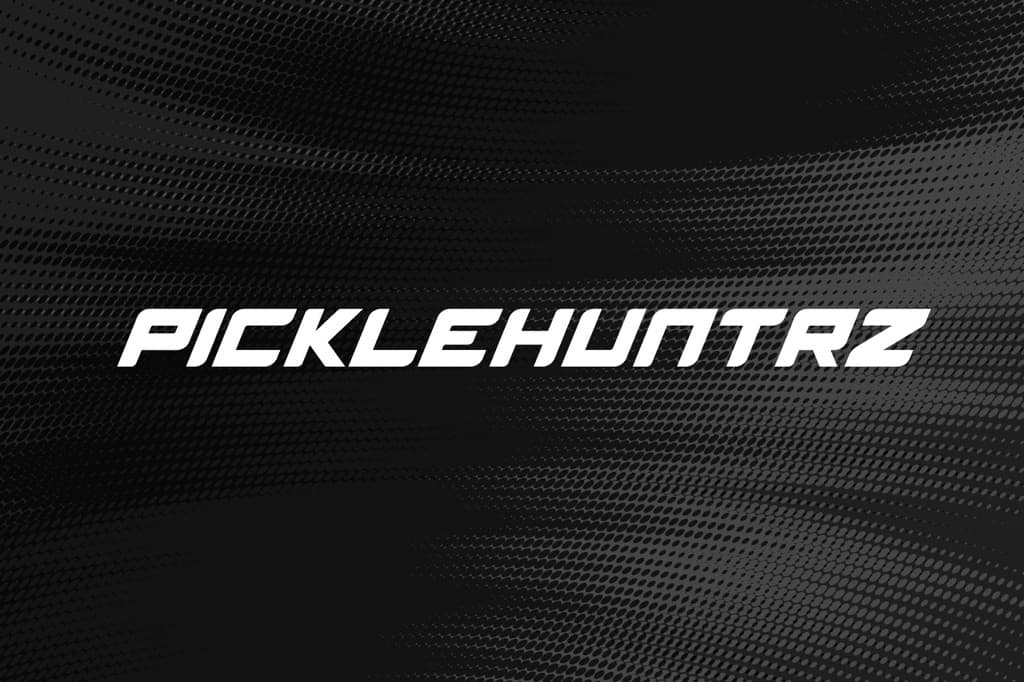 PickleHuntrz media 2