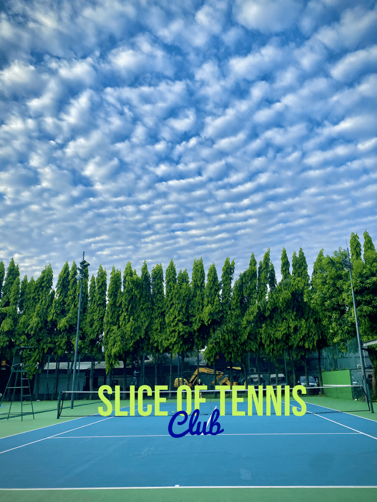 Slice of Tennis  media 5
