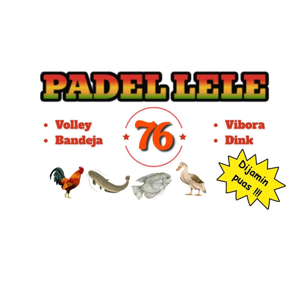 PADEL LELE 76 🐟🎾 media 1