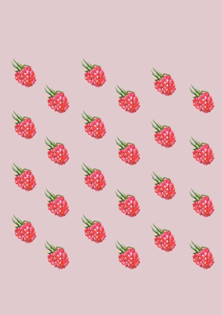 Berry Rally media 1