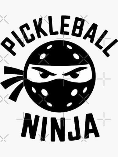NINJA PICKLE media 1